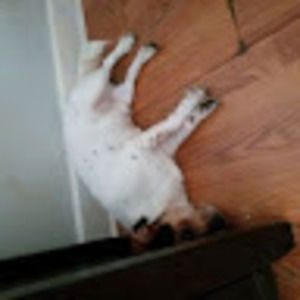 Meet your Posher, Matthew